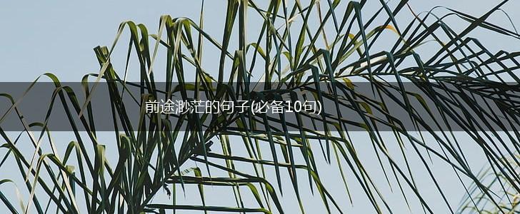 前途渺茫的句子(必备10句),第1张