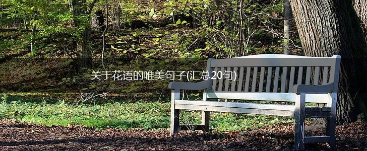 关于花语的唯美句子(汇总20句),第1张