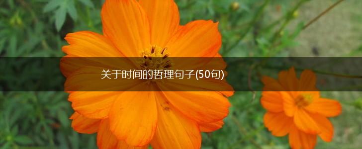 关于时间的哲理句子(50句),第1张