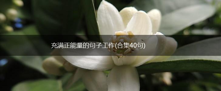 充满正能量的句子工作(合集40句),第1张