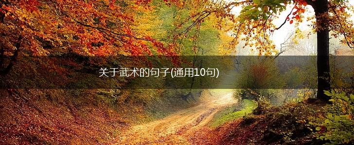 关于武术的句子(通用10句),第1张