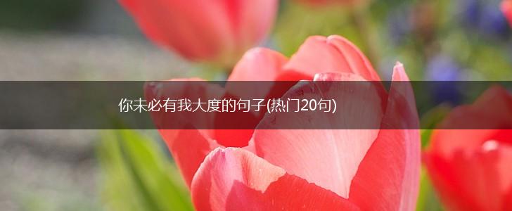 你未必有我大度的句子(热门20句),第1张