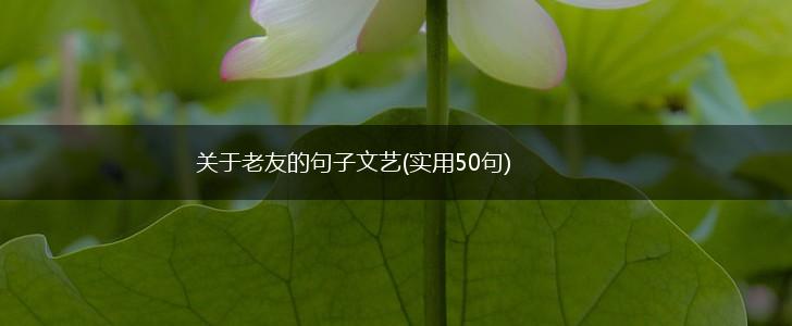 关于老友的句子文艺(实用50句),第1张