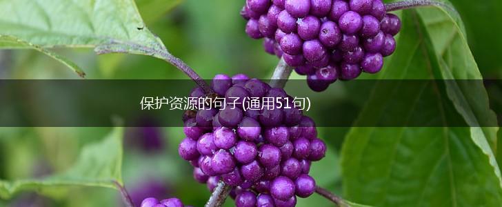 保护资源的句子(通用51句),第1张