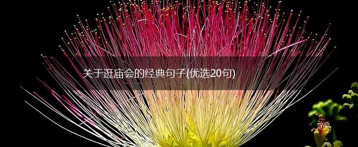 关于逛庙会的经典句子(优选20句),第1张