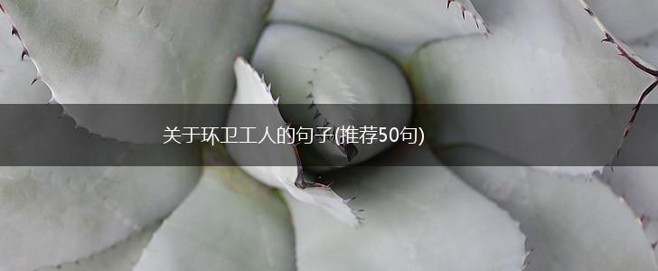 关于环卫工人的句子(推荐50句),第1张