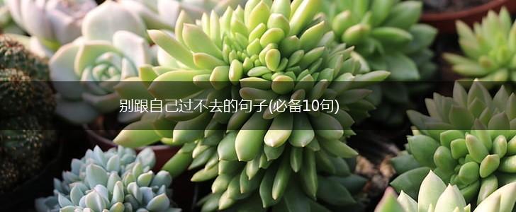 别跟自己过不去的句子(必备10句),第1张