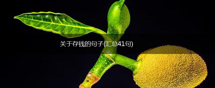 关于存钱的句子(汇总41句),第1张