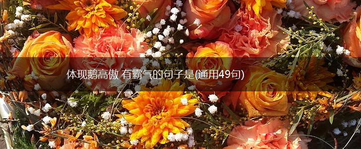 体现鹅高傲 有霸气的句子是(通用49句),第1张
