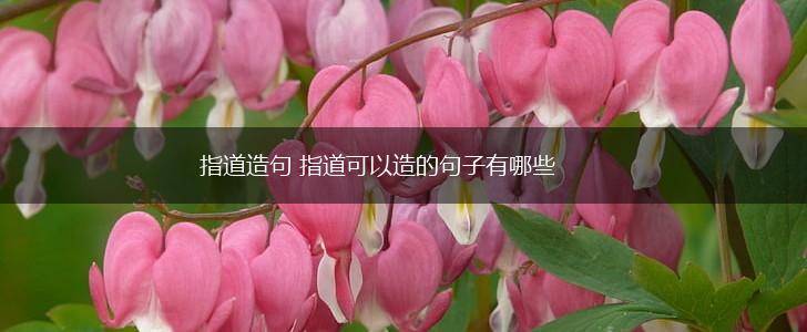 指道造句 指道可以造的句子有哪些,第1张