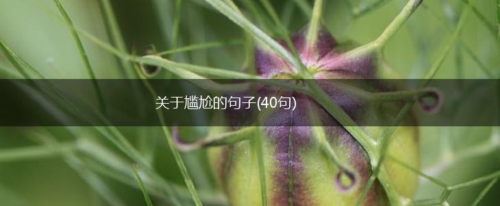 关于尴尬的句子(40句),第1张