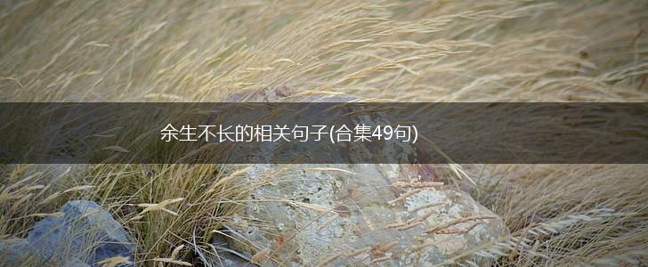 余生不长的相关句子(合集49句),第1张