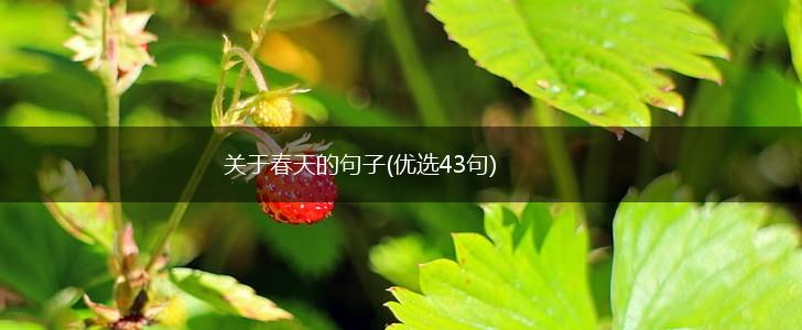 关于春天的句子(优选43句),第1张