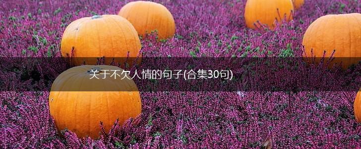 关于不欠人情的句子(合集30句),第1张