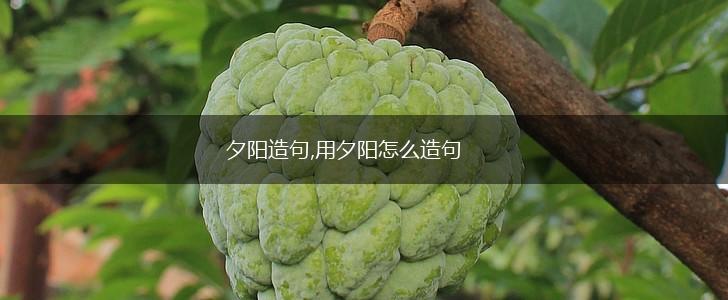 夕阳造句,用夕阳怎么造句,第1张