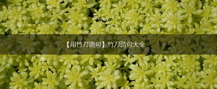 【用竹刀造句】竹刀造句大全,第1张