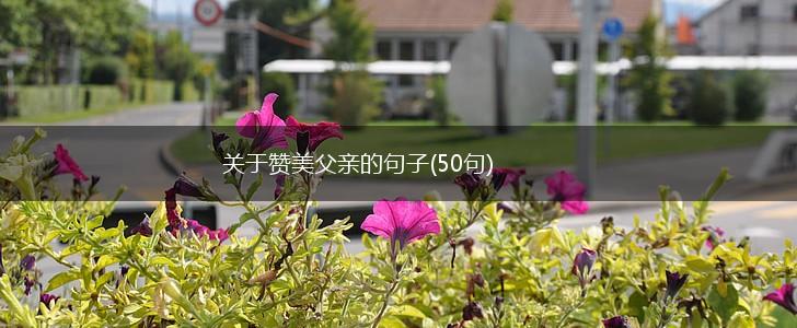 关于赞美父亲的句子(50句),第1张