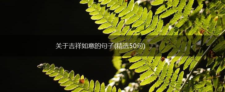 关于吉祥如意的句子(精选50句),第1张