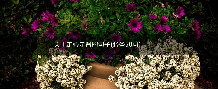 关于走心走肾的句子(必备50句),第1张