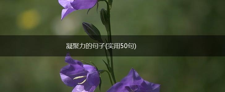 凝聚力的句子(实用50句),第1张