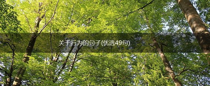 关于行为的句子(优选49句),第1张