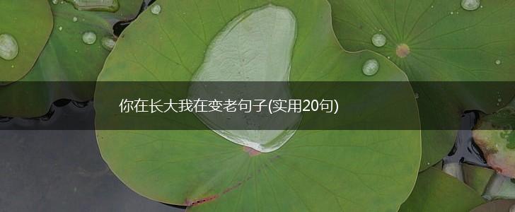 你在长大我在变老句子(实用20句),第1张 你在长大我在变老句子(实用20句),第1张