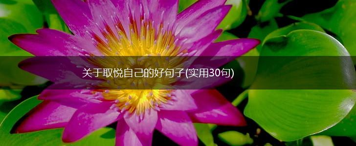 关于取悦自己的好句子(实用30句),第1张