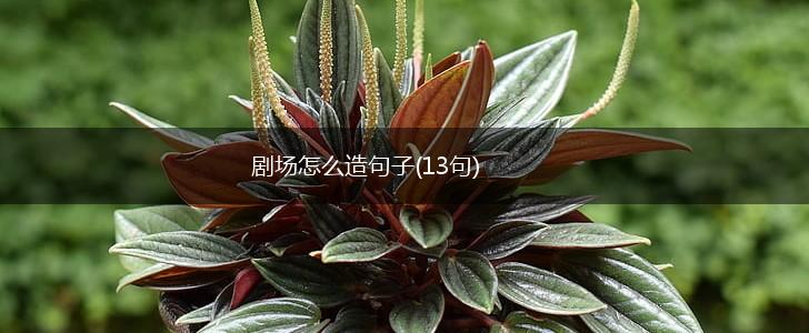 剧场怎么造句子(13句),第1张