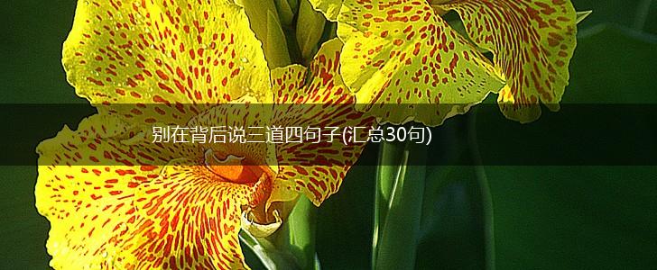 别在背后说三道四句子(汇总30句),第1张