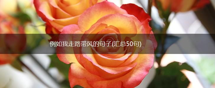 例如我走路带风的句子(汇总50句),第1张