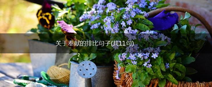关于奉献的排比句子(共11句),第1张