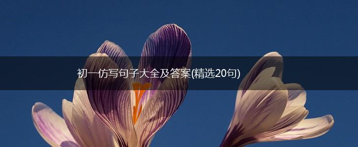 初一仿写句子大全及答案(精选20句),第1张