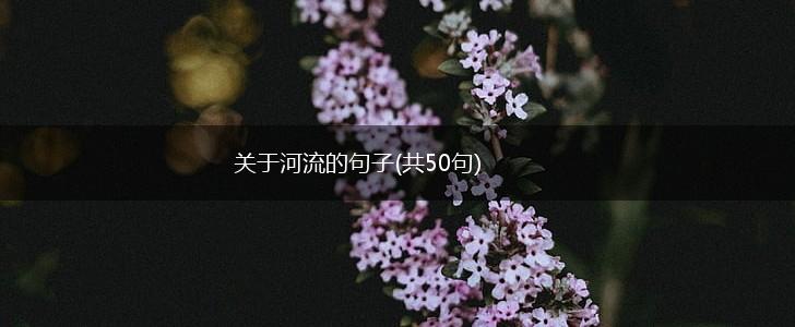 关于河流的句子(共50句),第1张