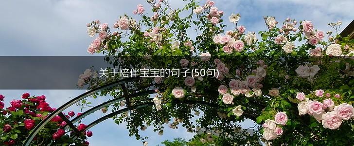 关于陪伴宝宝的句子(50句),第1张