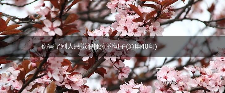 伤害了别人感觉很愧疚的句子(通用40句),第1张