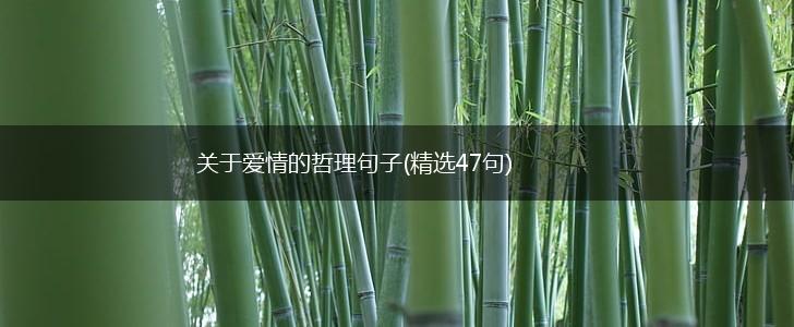关于爱情的哲理句子(精选47句),第1张