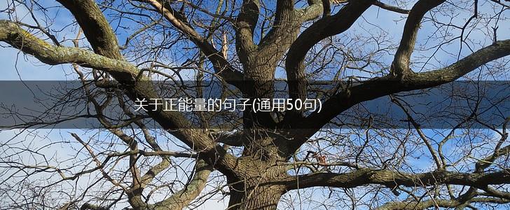关于正能量的句子(通用50句),第1张