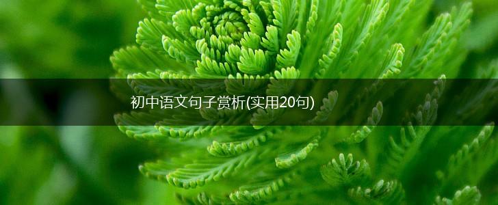 初中语文句子赏析(实用20句),第1张