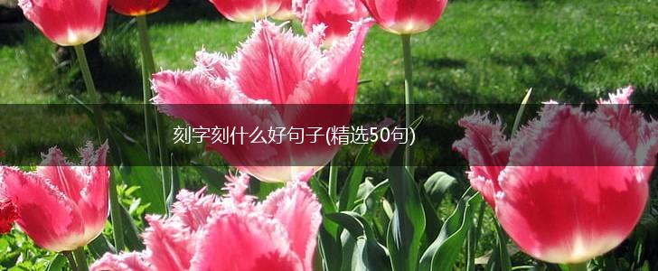 刻字刻什么好句子(精选50句),第1张