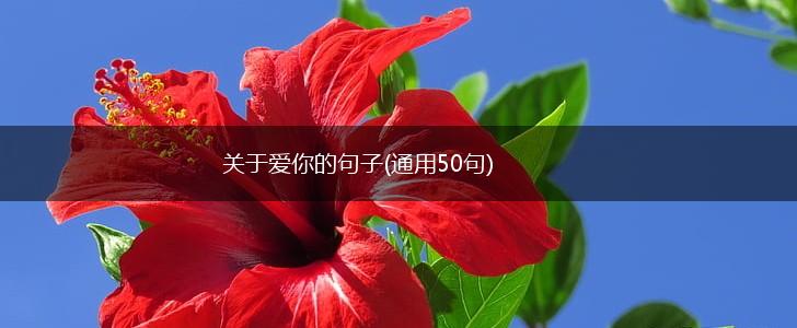 关于爱你的句子(通用50句),第1张