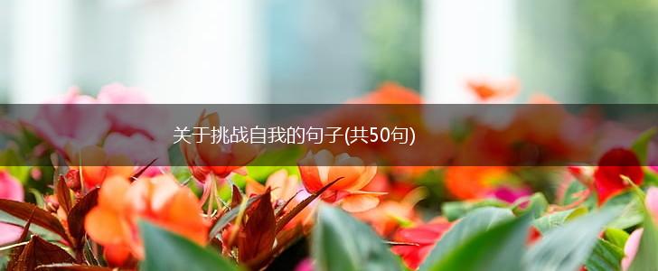 关于挑战自我的句子(共50句),第1张