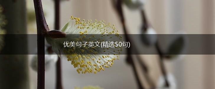 优美句子英文(精选50句),第1张