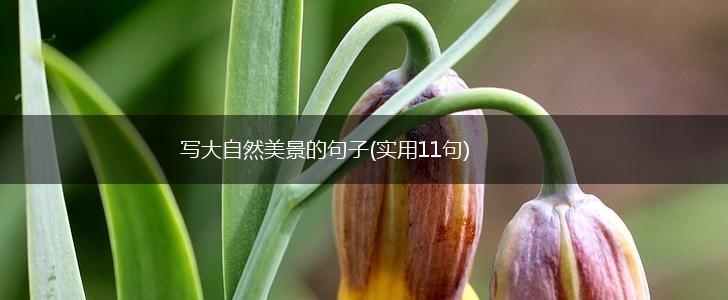 写大自然美景的句子(实用11句),第1张
