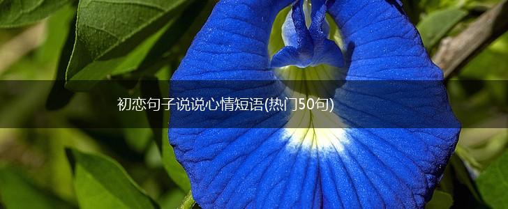 初恋句子说说心情短语(热门50句),第1张