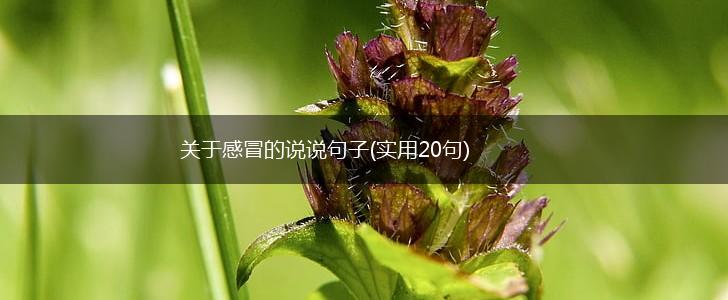 关于感冒的说说句子(实用20句),第1张