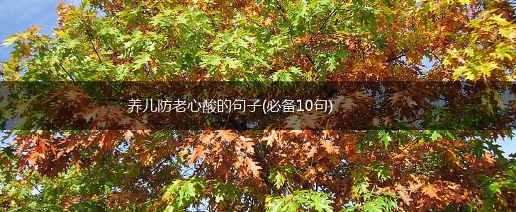 养儿防老心酸的句子(必备10句),第1张