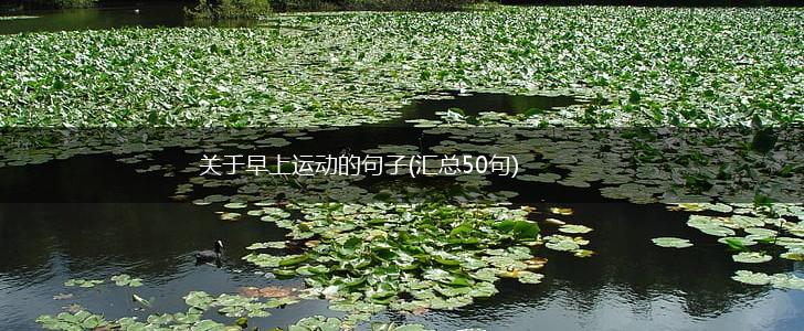 关于早上运动的句子(汇总50句),第1张
