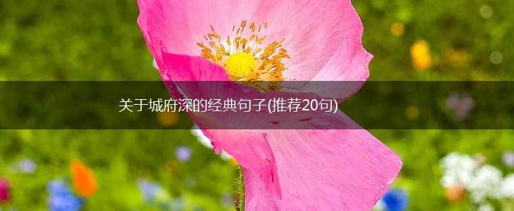 关于城府深的经典句子(推荐20句),第1张