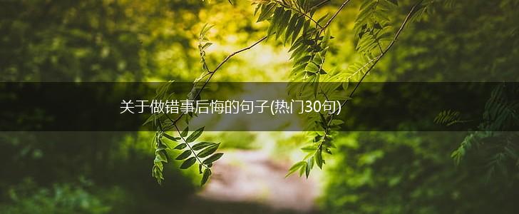 关于做错事后悔的句子(热门30句),第1张