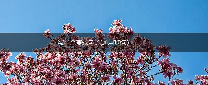 写一个夸张句子(通用10句),第1张
